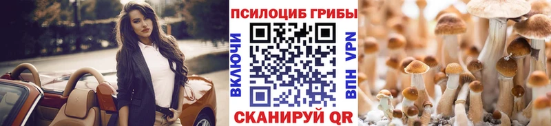 Галлюциногенные грибы Cubensis Магас